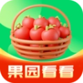 果园看看