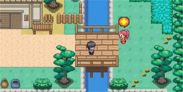 寶可夢(mèng)我的迷之規(guī)則截圖12