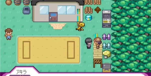 寶可夢(mèng)我的迷之規(guī)則截圖11