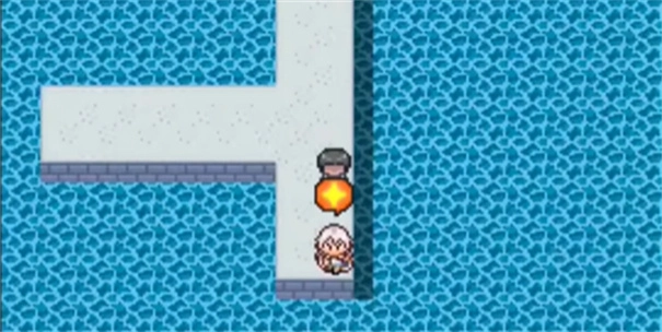 寶可夢(mèng)我的迷之規(guī)則截圖18