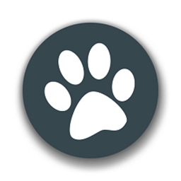 兽音译者安卓官方版