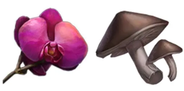 黑光生存进化-图3