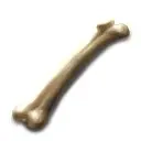 黑光生存进化-图9