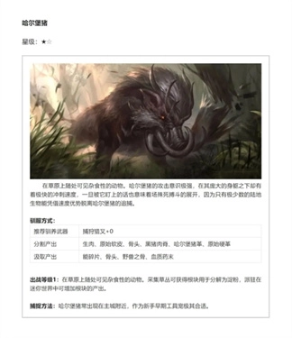 黑光生存进化-图12