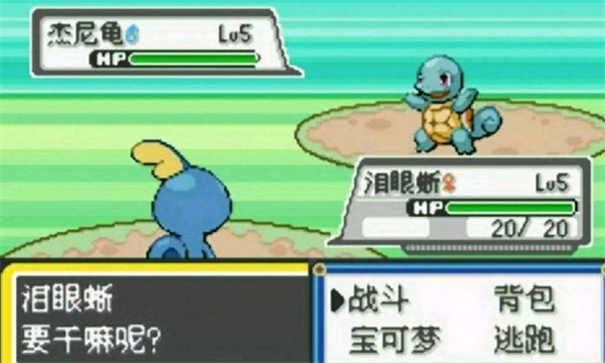 口袋妖怪绿宝石随机精灵版截图1