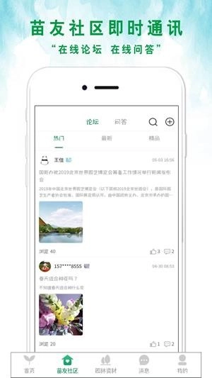 苗来苗往