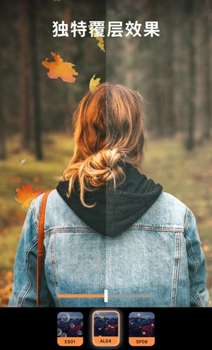 motionleap专业版图2