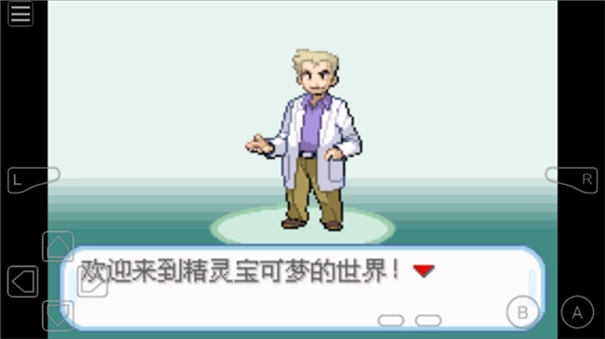 口袋妖怪不归之殇暗