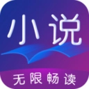 小说阅读王手机版