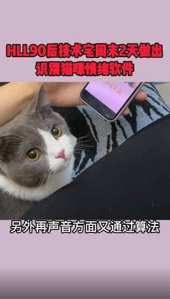 人猫翻译器软件