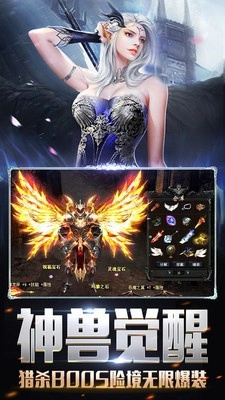 调皮的蜘蛛-图3