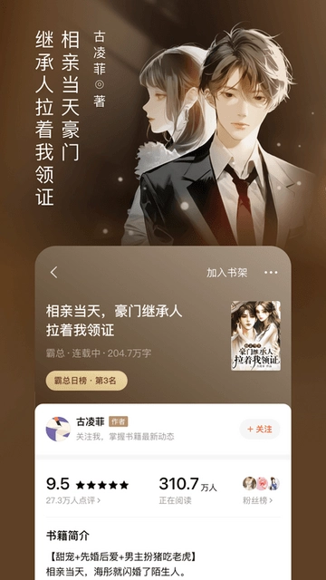 西红柿小说软件