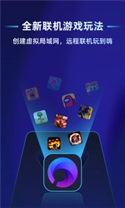 蒲公英联机平台软件(3)