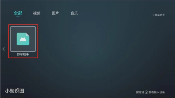 野草助手tv版(8)