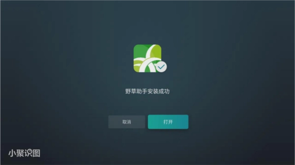 野草助手tv版(10)