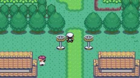 口袋妖怪究极绿宝石萌娘版-图3