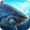 真实模拟鲨鱼捕食官方正版