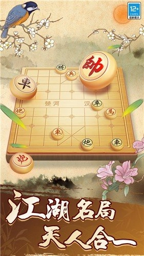 天天玩象棋(1)