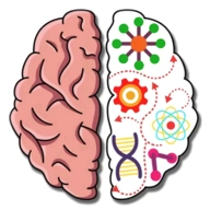 我的奇妙脑洞中文版