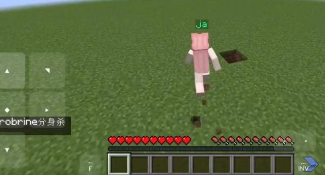 烦人的村民直装版-图5