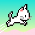 猫咪蜻蜓点水游戏官方最新版