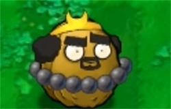 植物大战僵尸黑西游版(11)