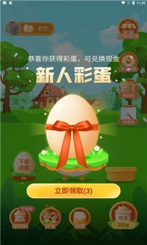 天天养鸡宝游戏绿色版图2