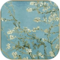 析微明茬 安卓版