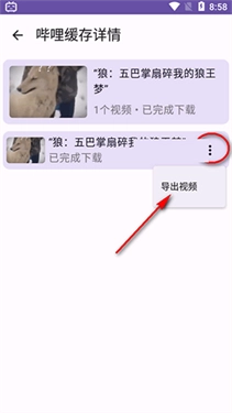 哔哩缓存导出图5