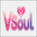 vsoul.ai聊天2026