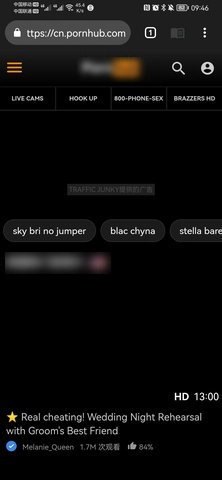 epic浏览器中文版