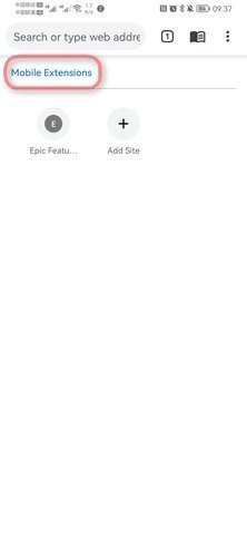 epic浏览器中文版