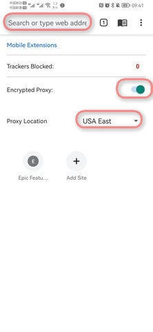 epic浏览器中文版