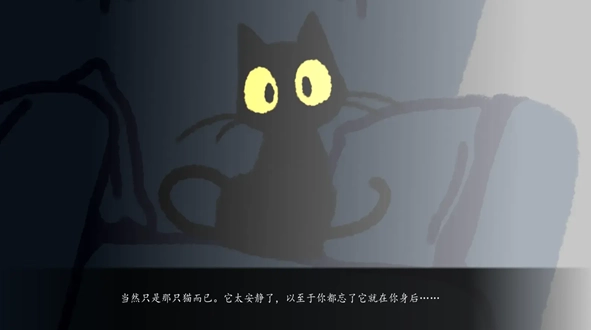 别带这只猫回家