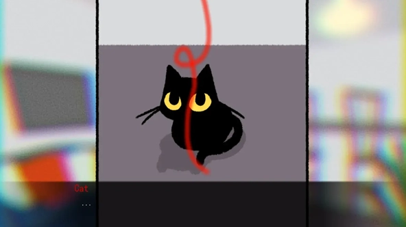 别带这只猫回家