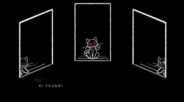 别带这只猫回家