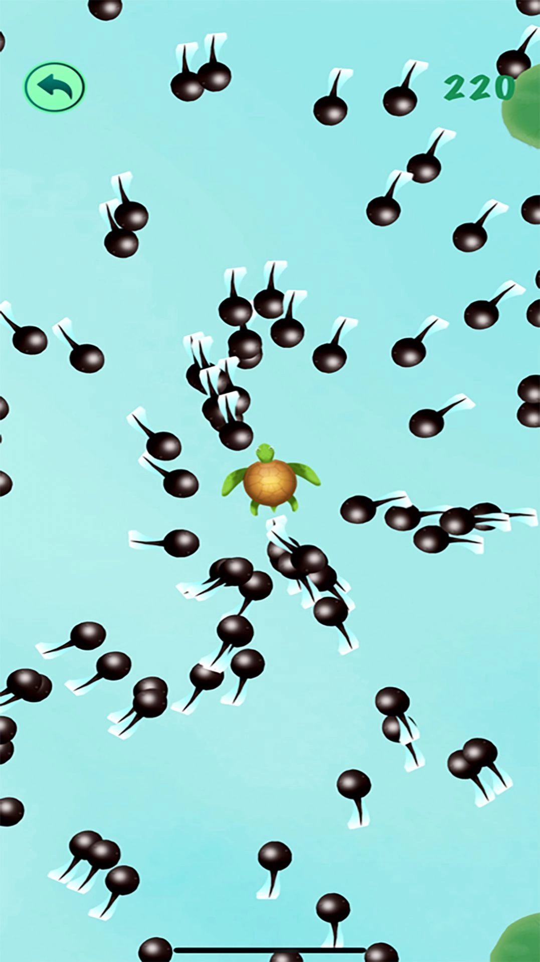 这才是神龙进化安装下载