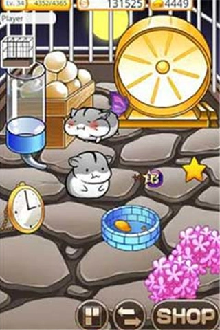 仓鼠的日常完整版下载