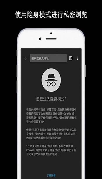 谷歌浏览器安卓截图2