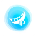 豌豆代理安卓版