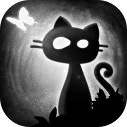 暗影之光无尽波折游戏