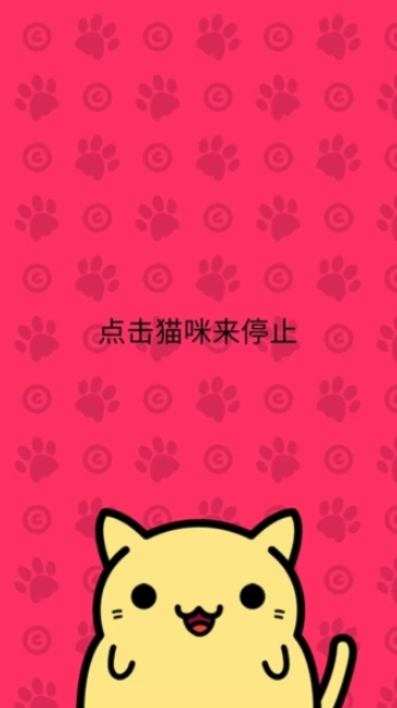 小偷猫