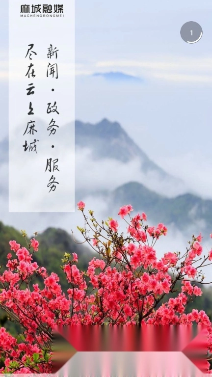 云上麻城手机版图5