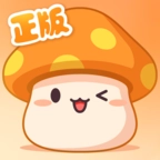 冒险岛枫之传说安卓新版