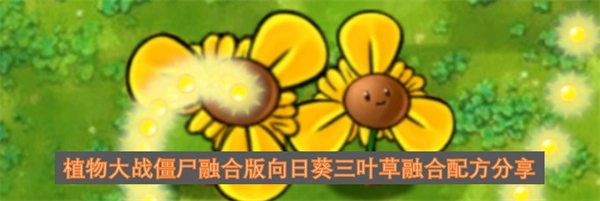 植物大战僵尸融合版：向日葵和三叶草的融合配方分享