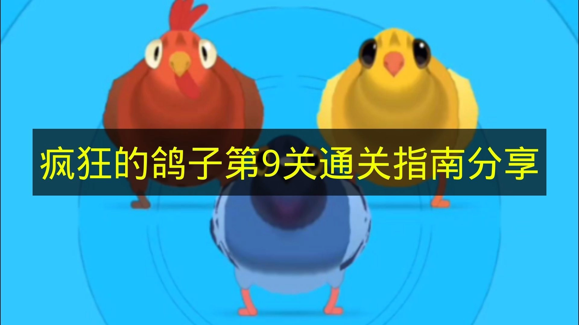 分享《疯狂的鸽子》第9关的通关指南