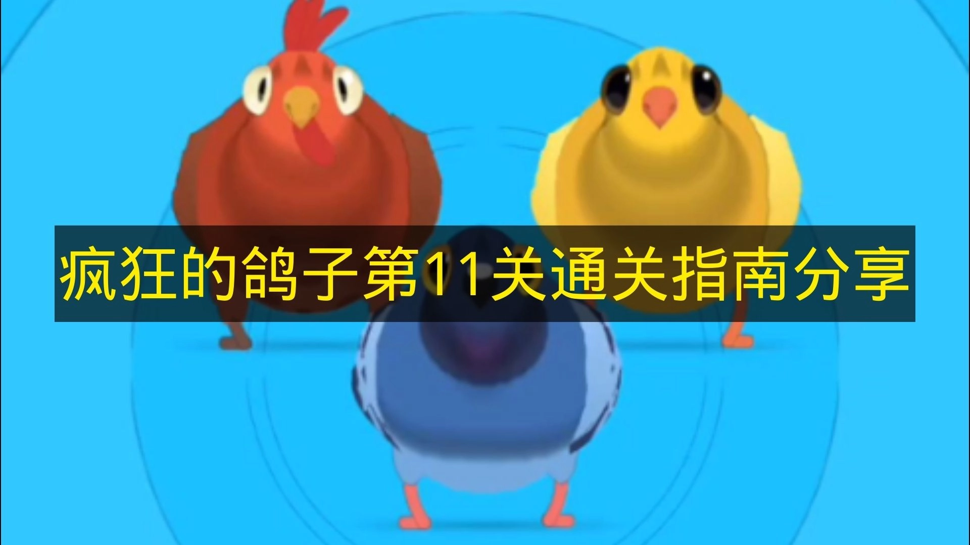 《疯狂的鸽子》第11关通关攻略分享