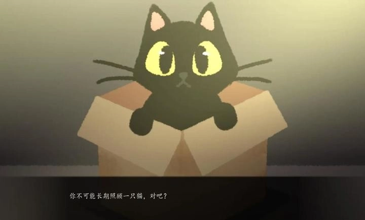 别带这只猫回家手机版