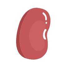 红豆笔记安卓直装版