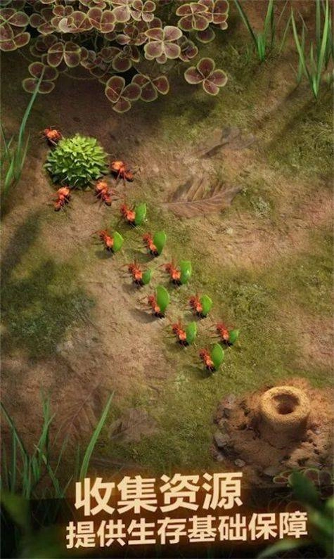 荒野螞蟻模擬截圖0